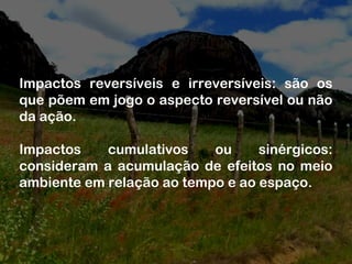 Impactos reversíveis e irreversíveis: são os
que põem em jogo o aspecto reversível ou não
da ação.
Impactos cumulativos ou sinérgicos:
consideram a acumulação de efeitos no meio
ambiente em relação ao tempo e ao espaço.
 