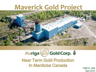 TSX-V: AIA
April 2014
Maverick Gold Project
Advancing toward Gold Production in 2013
Near Term Gold Production
In Manitoba Canada
 