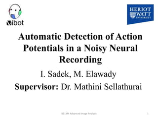 Automatic Detection of Action
Potentials in a Noisy Neural
Recording
I. Sadek, M. Elawady
Supervisor: Dr. Mathini Sellathurai
1B31XM Advanced Image Analysis
 