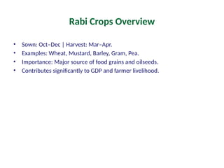 AI_Agriculture_Rabi_Designed.pptx Ai use in rabi crops | PPTX