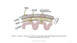 DEPT. OF PHYSIOLOGY, AIIMS PATNA 10
Miller, K. J., Hermes, D., & Staff, N. P. (2020). The current state of electrocorticography-based brain-computer
interfaces. Neurosurgical focus, 49(1), E2.
 