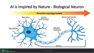 AI	is	inspired	by	Nature	- Biological	Neuron
Ivy	Data	Science						AI	with	Applications	v0.10							Peter	Morgan				
Dec	2016
3©	Ivy	Data	Science
 
