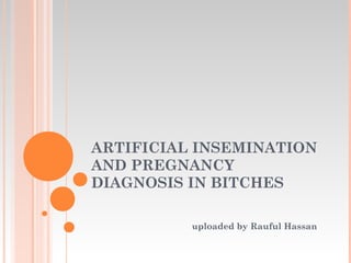 ARTIFICIAL INSEMINATION
AND PREGNANCY
DIAGNOSIS IN BITCHES
uploaded by Rauful Hassan
 