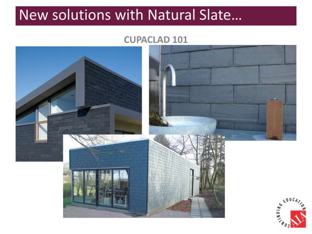 AIA Presentation | PPTX