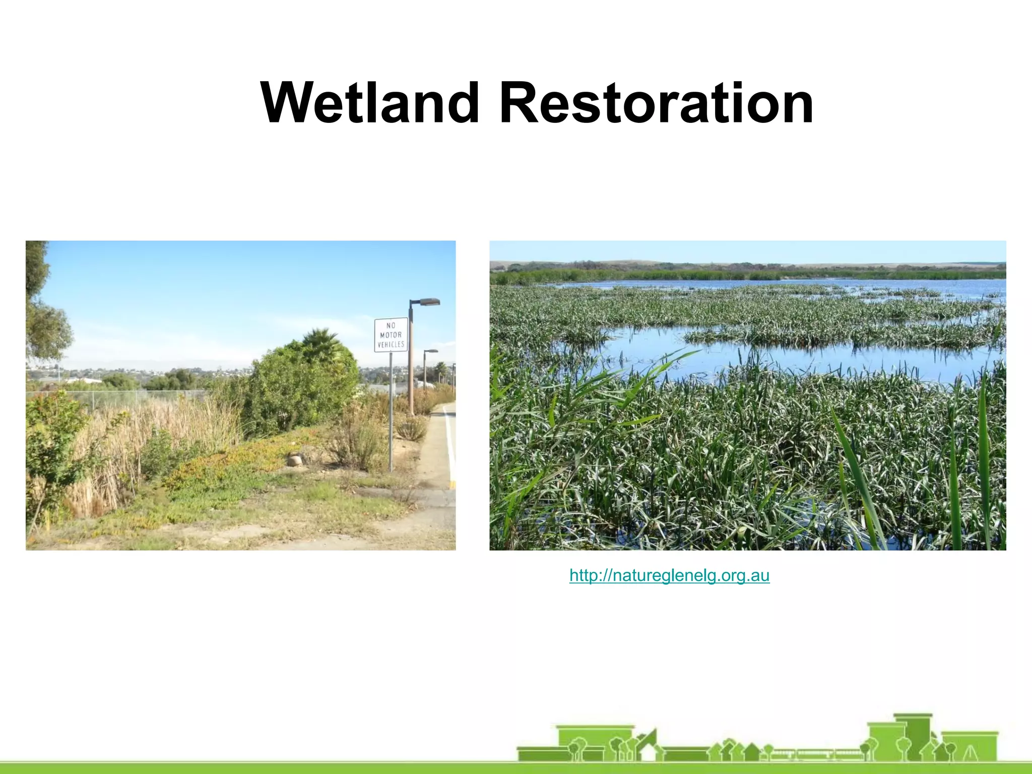 Wetland Restoration
http://natureglenelg.org.au
 