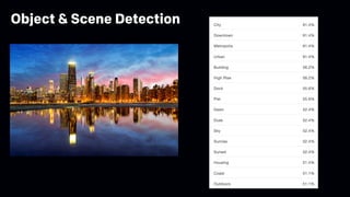Object & Scene Detection
 