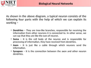 As shown in the above diagram, a typical neuron consists of the
following four parts with the help of which we can explain its
working −
• Dendrites − They are tree-like branches, responsible for receiving the
information from other neurons it is connected to. In other sense, we
can say that they are like the ears of neuron.
• Soma − It is the cell body of the neuron and is responsible for
processing of information, they have received from dendrites.
• Axon − It is just like a cable through which neurons send the
information.
• Synapses − It is the connection between the axon and other neuron
dendrites.
Biological Neural Networks
 