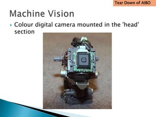 Tear Down of AIBO




   Colour digital camera mounted in the 'head'
    section
 
