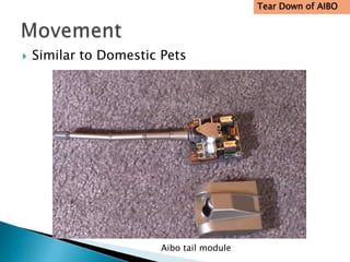 Tear Down of AIBO




   Similar to Domestic Pets




                        Aibo tail module
 