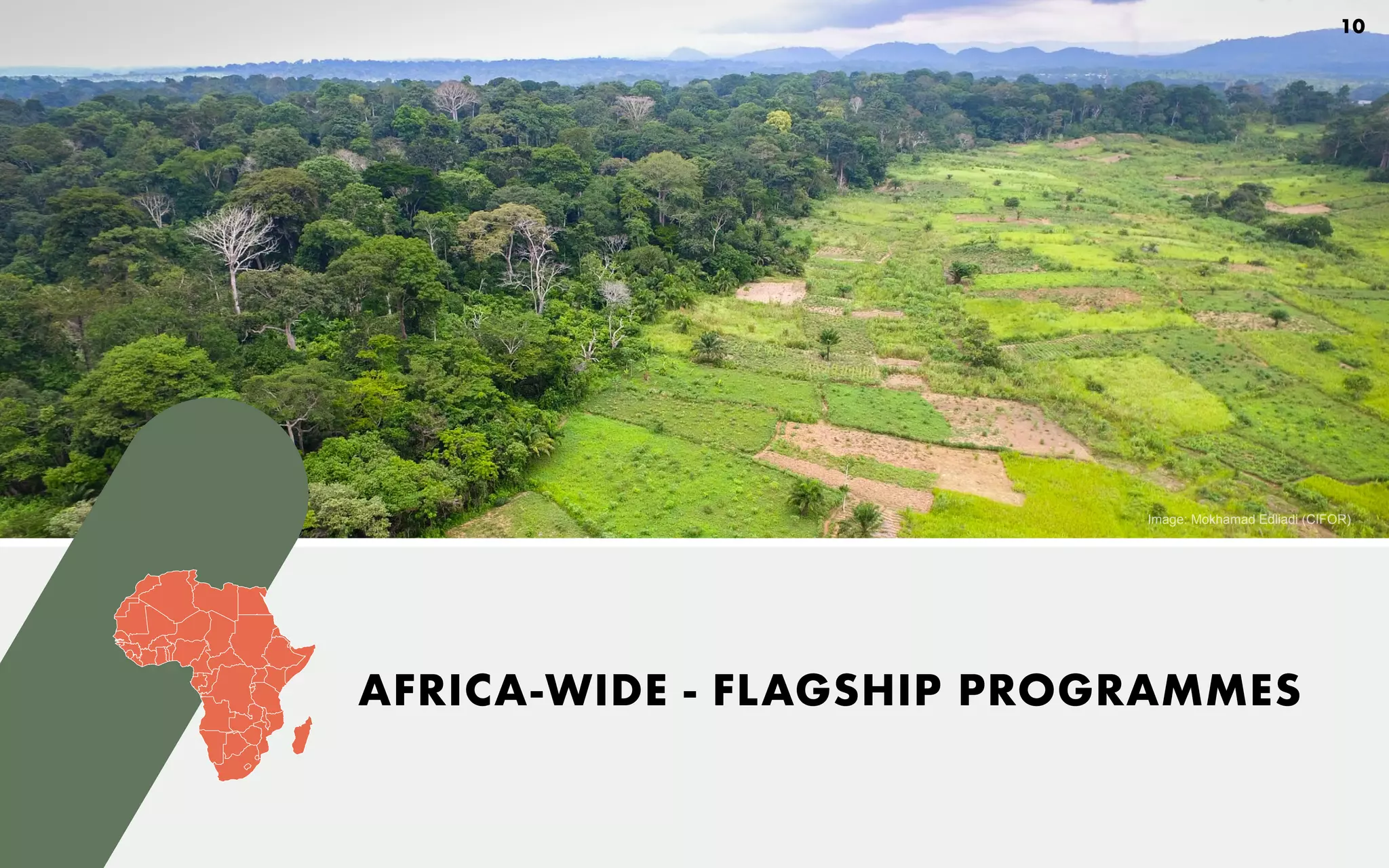 Image: Mokhamad Edliadi (CIFOR)
10
AFRICA-WIDE - FLAGSHIP PROGRAMMES
 