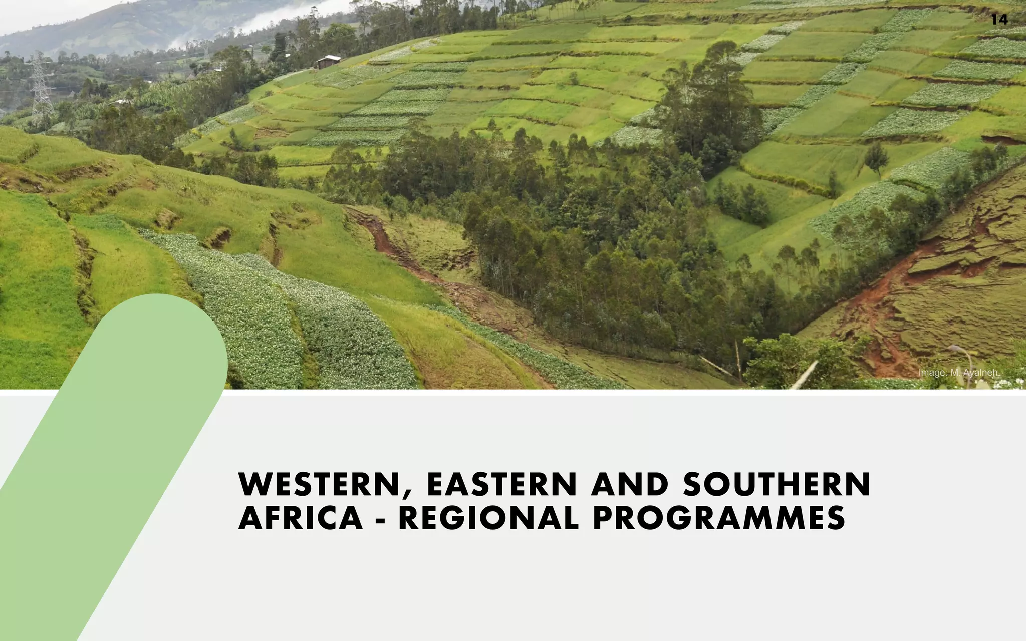 WESTERN, EASTERN AND SOUTHERN
AFRICA - REGIONAL PROGRAMMES
Image: M. Ayalneh
14
 
