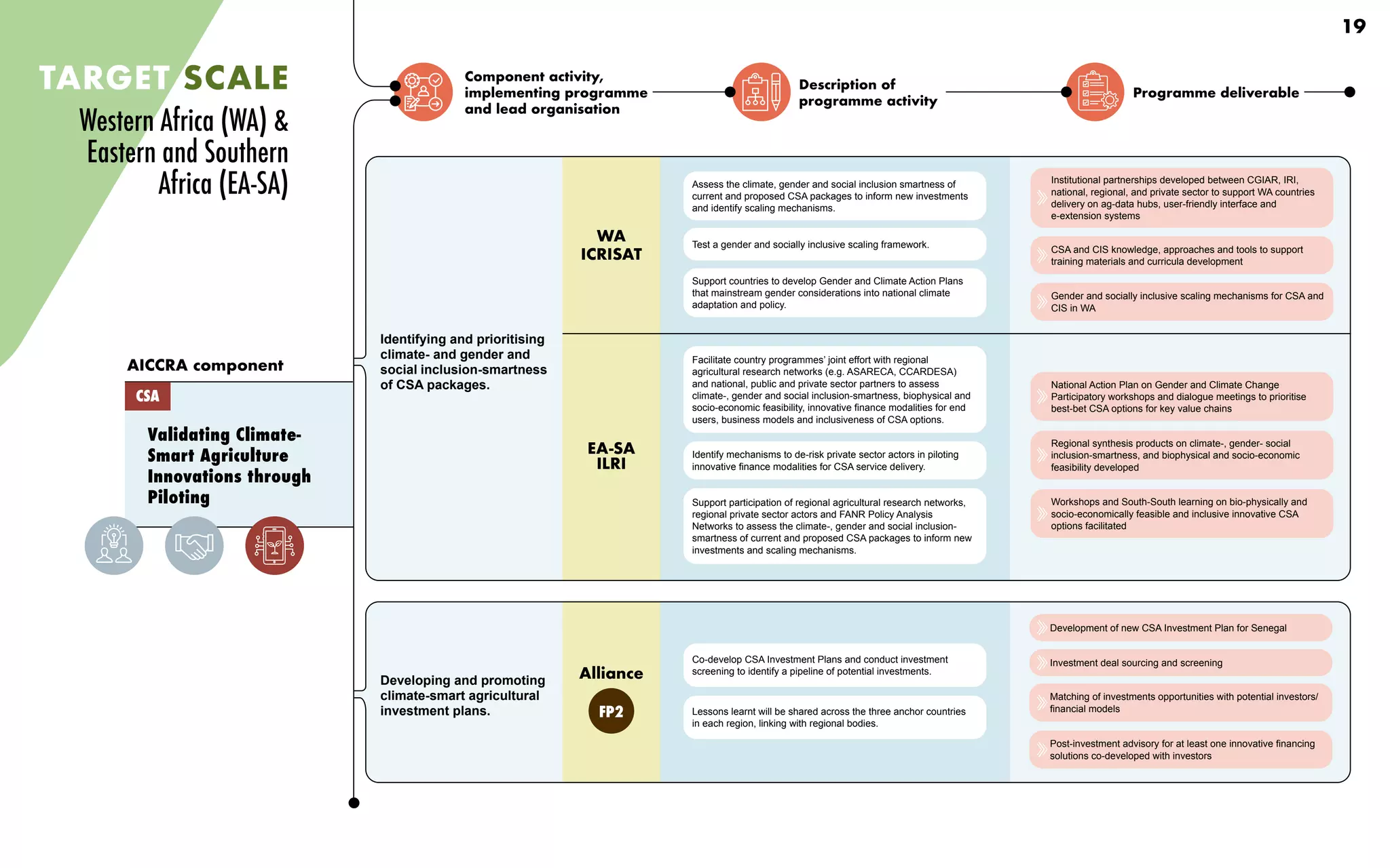 Component activity,
implementing programme
and lead organisation
Description of
programme activity
Programme deliverable
Validating Climate-
Smart Agriculture
Innovations through
Piloting
AICCRA component
CSA
TARGET SCALE
Identifying and prioritising
climate- and gender and
social inclusion-smartness
of CSA packages.
Developing and promoting
climate-smart agricultural
investment plans.
Assess the climate, gender and social inclusion smartness of
current and proposed CSA packages to inform new investments
and identify scaling mechanisms.
Support countries to develop Gender and Climate Action Plans
that mainstream gender considerations into national climate
adaptation and policy.
Test a gender and socially inclusive scaling framework.
Facilitate country programmes’ joint effort with regional
agricultural research networks (e.g. ASARECA, CCARDESA)
and national, public and private sector partners to assess
climate-, gender and social inclusion-smartness, biophysical and
socio-economic feasibility, innovative finance modalities for end
users, business models and inclusiveness of CSA options.
Identify mechanisms to de-risk private sector actors in piloting
innovative finance modalities for CSA service delivery.
Support participation of regional agricultural research networks,
regional private sector actors and FANR Policy Analysis
Networks to assess the climate-, gender and social inclusion-
smartness of current and proposed CSA packages to inform new
investments and scaling mechanisms.
Co-develop CSA Investment Plans and conduct investment
screening to identify a pipeline of potential investments.
Lessons learnt will be shared across the three anchor countries
in each region, linking with regional bodies.
Institutional partnerships developed between CGIAR, IRI,
national, regional, and private sector to support WA countries
delivery on ag-data hubs, user-friendly interface and
e-extension systems
CSA and CIS knowledge, approaches and tools to support
training materials and curricula development
Gender and socially inclusive scaling mechanisms for CSA and
CIS in WA
National Action Plan on Gender and Climate Change
Participatory workshops and dialogue meetings to prioritise
best-bet CSA options for key value chains
Regional synthesis products on climate-, gender- social
inclusion-smartness, and biophysical and socio-economic
feasibility developed
Workshops and South-South learning on bio-physically and
socio-economically feasible and inclusive innovative CSA
options facilitated
Development of new CSA Investment Plan for Senegal
Investment deal sourcing and screening
Matching of investments opportunities with potential investors/
financial models
Post-investment advisory for at least one innovative financing
solutions co-developed with investors
WA
ICRISAT
EA-SA
ILRI
Alliance
Western Africa (WA) &
Eastern and Southern
Africa (EA-SA)
19
FP2
 