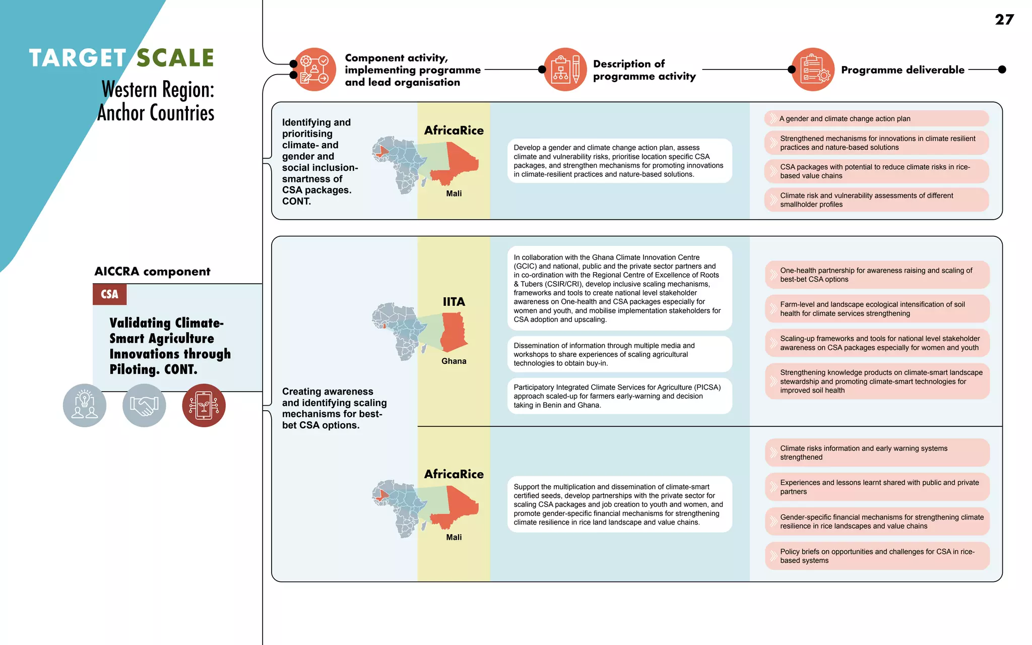Component activity,
implementing programme
and lead organisation
Description of
programme activity
Programme deliverable
Validating Climate-
Smart Agriculture
Innovations through
Piloting. CONT.
AICCRA component
CSA
TARGET SCALE
Creating awareness
and identifying scaling
mechanisms for best-
bet CSA options.
Identifying and
prioritising
climate- and
gender and
social inclusion-
smartness of
CSA packages.
CONT.
In collaboration with the Ghana Climate Innovation Centre
(GCIC) and national, public and the private sector partners and
in co-ordination with the Regional Centre of Excellence of Roots
& Tubers (CSIR/CRI), develop inclusive scaling mechanisms,
frameworks and tools to create national level stakeholder
awareness on One-health and CSA packages especially for
women and youth, and mobilise implementation stakeholders for
CSA adoption and upscaling.
Participatory Integrated Climate Services for Agriculture (PICSA)
approach scaled-up for farmers early-warning and decision
taking in Benin and Ghana.
Dissemination of information through multiple media and
workshops to share experiences of scaling agricultural
technologies to obtain buy-in.
Support the multiplication and dissemination of climate-smart
certified seeds, develop partnerships with the private sector for
scaling CSA packages and job creation to youth and women, and
promote gender-specific financial mechanisms for strengthening
climate resilience in rice land landscape and value chains.
Develop a gender and climate change action plan, assess
climate and vulnerability risks, prioritise location specific CSA
packages, and strengthen mechanisms for promoting innovations
in climate-resilient practices and nature-based solutions.
One-health partnership for awareness raising and scaling of
best-bet CSA options
Farm-level and landscape ecological intensification of soil
health for climate services strengthening
Scaling-up frameworks and tools for national level stakeholder
awareness on CSA packages especially for women and youth
Strengthening knowledge products on climate-smart landscape
stewardship and promoting climate-smart technologies for
improved soil health
Climate risks information and early warning systems
strengthened
Experiences and lessons learnt shared with public and private
partners
Gender-specific financial mechanisms for strengthening climate
resilience in rice landscapes and value chains
Policy briefs on opportunities and challenges for CSA in rice-
based systems
A gender and climate change action plan
Strengthened mechanisms for innovations in climate resilient
practices and nature-based solutions
CSA packages with potential to reduce climate risks in rice-
based value chains
Climate risk and vulnerability assessments of different
smallholder profiles
Western Region:
Anchor Countries
IITA
Ghana
AfricaRice
Mali
AfricaRice
Mali
27
 