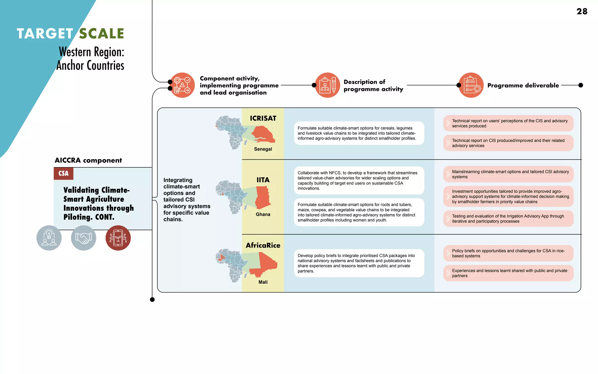 Component activity,
implementing programme
and lead organisation
Description of
programme activity
Programme deliverable
Validating Climate-
Smart Agriculture
Innovations through
Piloting. CONT.
AICCRA component
CSA
TARGET SCALE
Integrating
climate-smart
options and
tailored CSI
advisory systems
for specific value
chains.
Collaborate with NFCS, to develop a framework that streamlines
tailored value-chain advisories for wider scaling options and
capacity building of target end users on sustainable CSA
innovations.
Formulate suitable climate-smart options for roots and tubers,
maize, cowpea, and vegetable value chains to be integrated
into tailored climate-informed agro-advisory systems for distinct
smallholder profiles including women and youth.
Develop policy briefs to integrate prioritised CSA packages into
national advisory systems and factsheets and publications to
share experiences and lessons learnt with public and private
partners.
Formulate suitable climate-smart options for cereals, legumes
and livestock value chains to be integrated into tailored climate-
informed agro-advisory systems for distinct smallholder profiles.
Technical report on users’ perceptions of the CIS and advisory
services produced
Technical report on CIS produced/improved and their related
advisory services
Mainstreaming climate-smart options and tailored CSI advisory
systems
Investment opportunities tailored to provide improved agro-
advisory support systems for climate-informed decision making
by smallholder farmers in priority value chains
Testing and evaluation of the Irrigation Advisory App through
iterative and participatory processes
Policy briefs on opportunities and challenges for CSA in rice-
based systems
Experiences and lessons learnt shared with public and private
partners
Western Region:
Anchor Countries
28
Senegal
ICRISAT
IITA
Ghana
AfricaRice
Mali
 