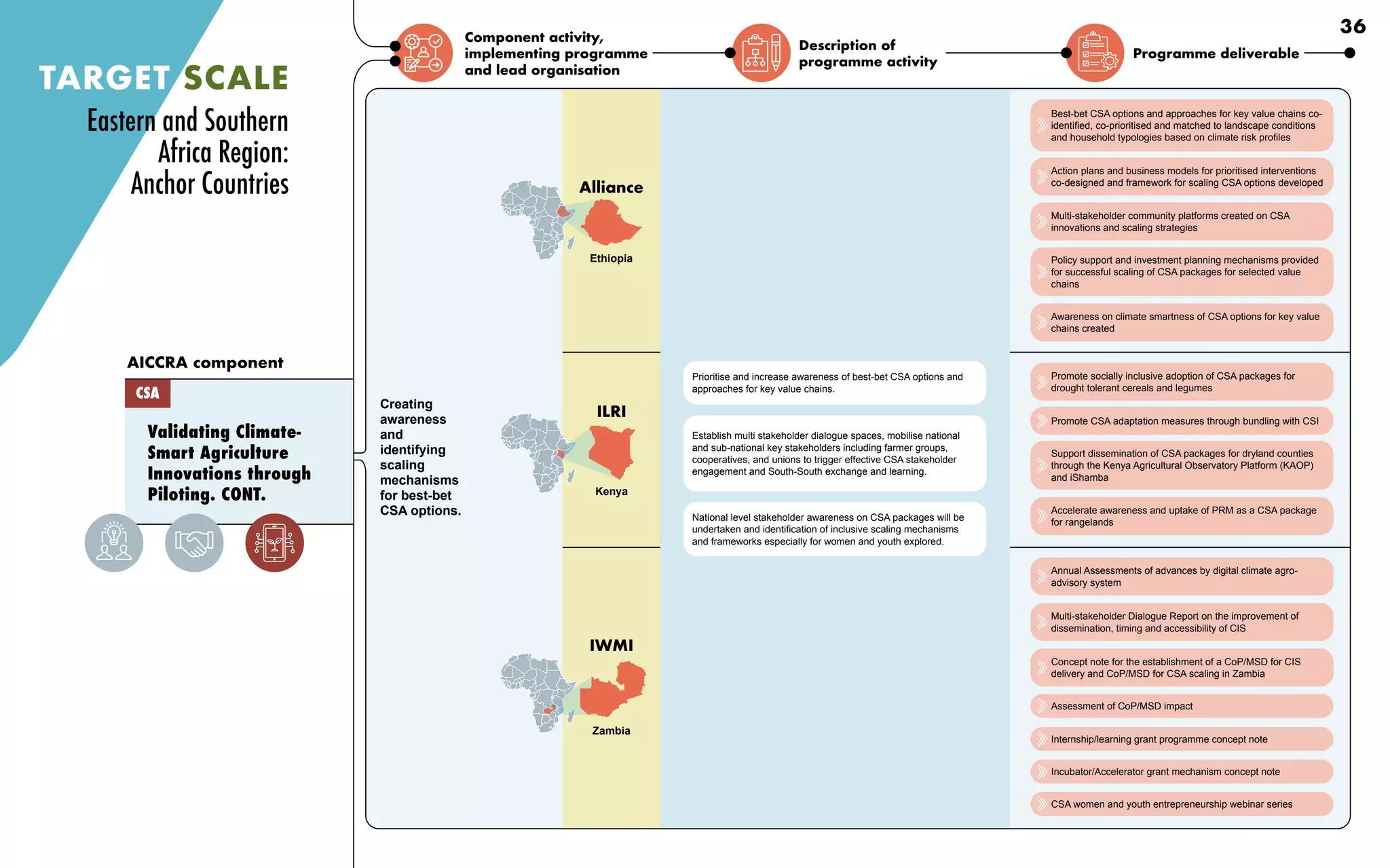 Component activity,
implementing programme
and lead organisation
Description of
programme activity
Programme deliverable
Creating
awareness
and
identifying
scaling
mechanisms
for best-bet
CSA options.
Establish multi stakeholder dialogue spaces, mobilise national
and sub-national key stakeholders including farmer groups,
cooperatives, and unions to trigger effective CSA stakeholder
engagement and South-South exchange and learning.
National level stakeholder awareness on CSA packages will be
undertaken and identification of inclusive scaling mechanisms
and frameworks especially for women and youth explored.
Prioritise and increase awareness of best-bet CSA options and
approaches for key value chains.
Best-bet CSA options and approaches for key value chains co-
identified, co-prioritised and matched to landscape conditions
and household typologies based on climate risk profiles
Action plans and business models for prioritised interventions
co-designed and framework for scaling CSA options developed
Multi-stakeholder community platforms created on CSA
innovations and scaling strategies
Policy support and investment planning mechanisms provided
for successful scaling of CSA packages for selected value
chains
Awareness on climate smartness of CSA options for key value
chains created
Promote socially inclusive adoption of CSA packages for
drought tolerant cereals and legumes
Promote CSA adaptation measures through bundling with CSI
Support dissemination of CSA packages for dryland counties
through the Kenya Agricultural Observatory Platform (KAOP)
and iShamba
Accelerate awareness and uptake of PRM as a CSA package
for rangelands
Annual Assessments of advances by digital climate agro-
advisory system
Multi-stakeholder Dialogue Report on the improvement of
dissemination, timing and accessibility of CIS
Concept note for the establishment of a CoP/MSD for CIS
delivery and CoP/MSD for CSA scaling in Zambia
Assessment of CoP/MSD impact
Internship/learning grant programme concept note
Incubator/Accelerator grant mechanism concept note
CSA women and youth entrepreneurship webinar series
TARGET SCALE
Validating Climate-
Smart Agriculture
Innovations through
Piloting. CONT.
AICCRA component
CSA
Eastern and Southern
Africa Region:
Anchor Countries
Ethiopia
Alliance
ILRI
Kenya
IWMI
Zambia
36
 