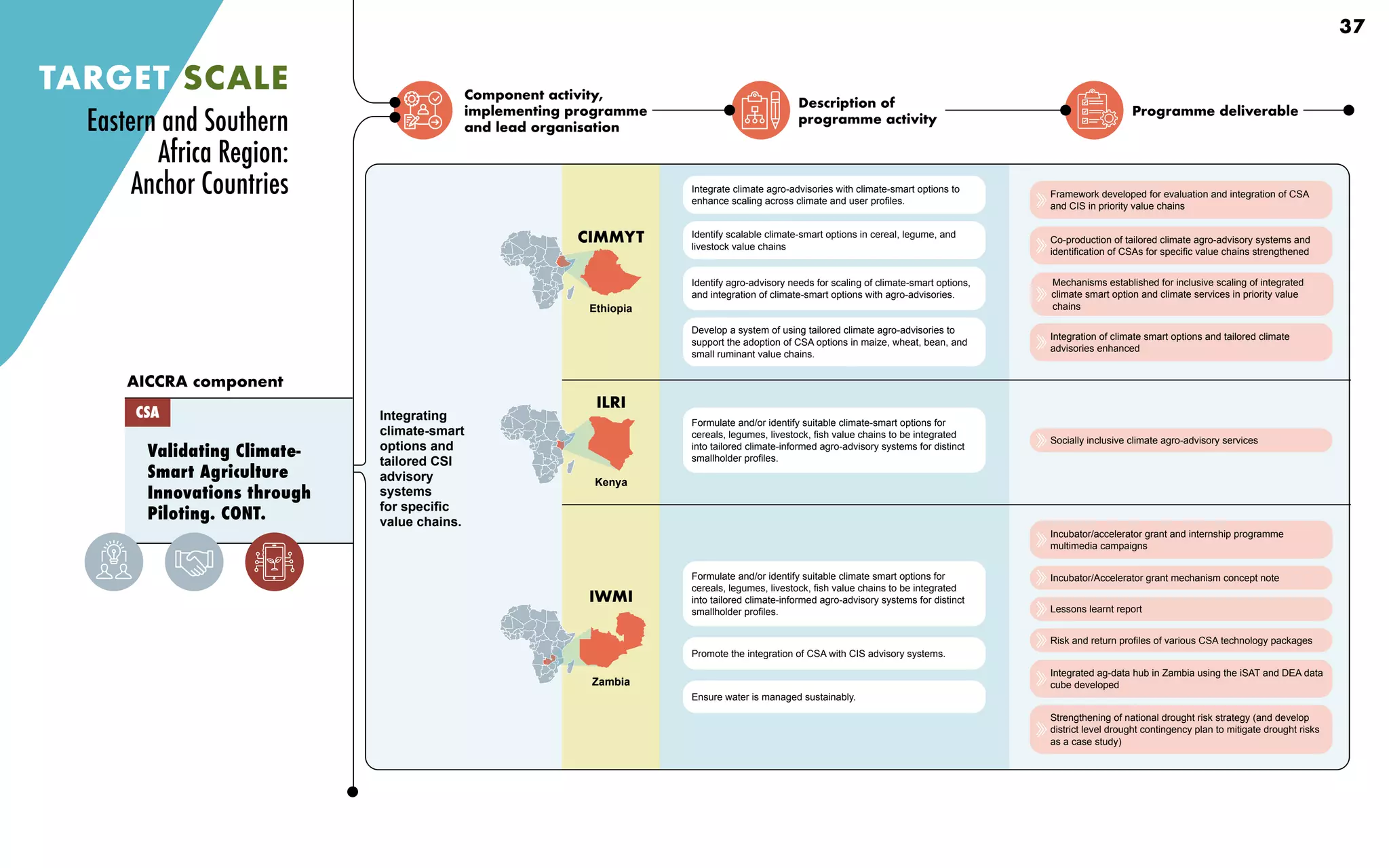 Component activity,
implementing programme
and lead organisation
Description of
programme activity
Programme deliverable
Integrating
climate-smart
options and
tailored CSI
advisory
systems
for specific
value chains.
Identify scalable climate-smart options in cereal, legume, and
livestock value chains
Identify agro-advisory needs for scaling of climate-smart options,
and integration of climate-smart options with agro-advisories.
Develop a system of using tailored climate agro-advisories to
support the adoption of CSA options in maize, wheat, bean, and
small ruminant value chains.
Integrate climate agro-advisories with climate-smart options to
enhance scaling across climate and user profiles.
Promote the integration of CSA with CIS advisory systems.
Ensure water is managed sustainably.
Formulate and/or identify suitable climate smart options for
cereals, legumes, livestock, fish value chains to be integrated
into tailored climate-informed agro-advisory systems for distinct
smallholder profiles.
Socially inclusive climate agro-advisory services
Incubator/accelerator grant and internship programme
multimedia campaigns
Incubator/Accelerator grant mechanism concept note
Lessons learnt report
Risk and return profiles of various CSA technology packages
Integrated ag-data hub in Zambia using the iSAT and DEA data
cube developed
Strengthening of national drought risk strategy (and develop
district level drought contingency plan to mitigate drought risks
as a case study)
TARGET SCALE
Validating Climate-
Smart Agriculture
Innovations through
Piloting. CONT.
AICCRA component
CSA
Formulate and/or identify suitable climate-smart options for
cereals, legumes, livestock, fish value chains to be integrated
into tailored climate-informed agro-advisory systems for distinct
smallholder profiles.
Eastern and Southern
Africa Region:
Anchor Countries Framework developed for evaluation and integration of CSA
and CIS in priority value chains
Co-production of tailored climate agro-advisory systems and
identification of CSAs for specific value chains strengthened
Mechanisms established for inclusive scaling of integrated
climate smart option and climate services in priority value
chains
Integration of climate smart options and tailored climate
advisories enhanced
Ethiopia
CIMMYT
ILRI
Kenya
IWMI
Zambia
37
 