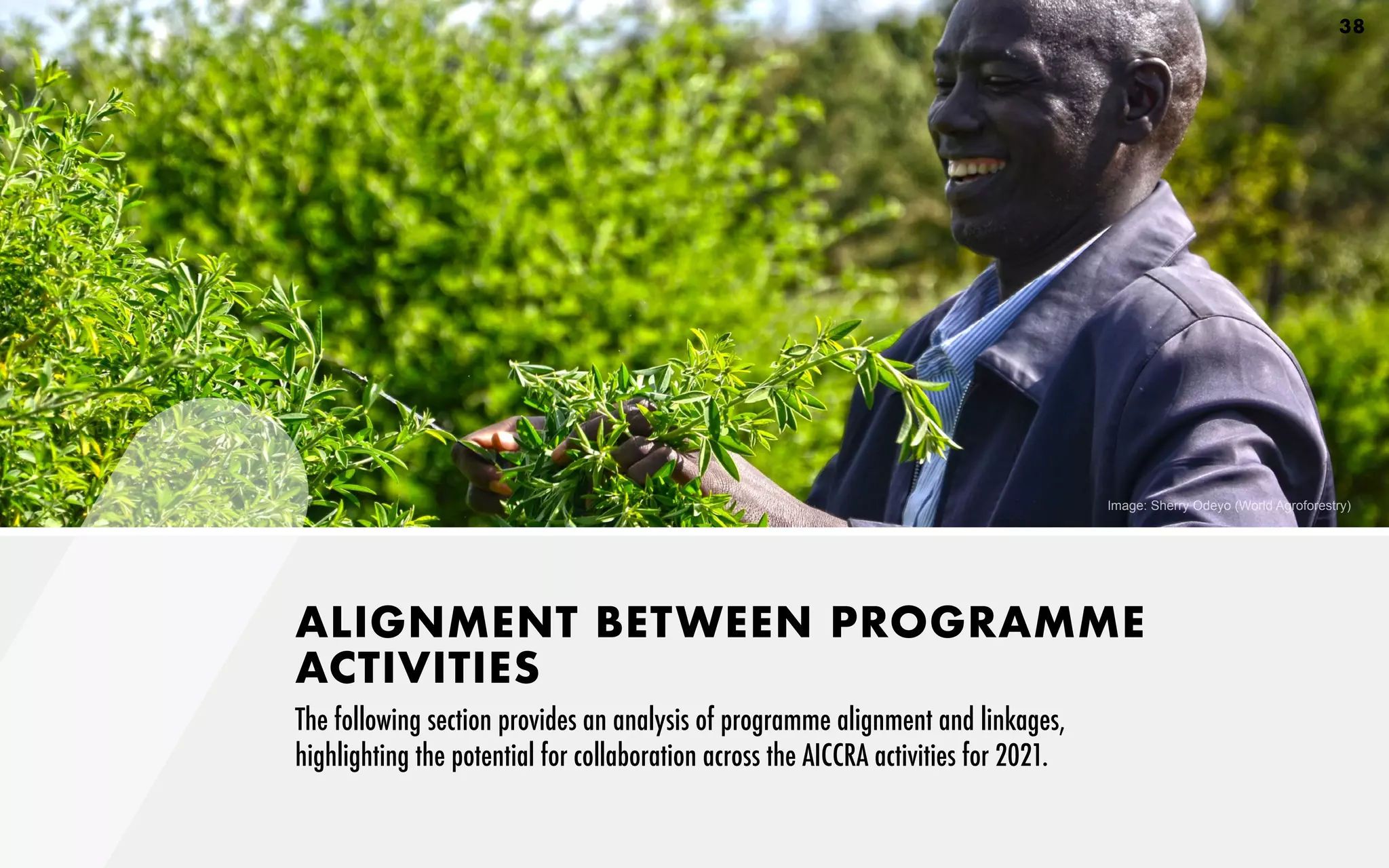 ALIGNMENT BETWEEN PROGRAMME
ACTIVITIES
The following section provides an analysis of programme alignment and linkages,
highlighting the potential for collaboration across the AICCRA activities for 2021.
Image: Sherry Odeyo (World Agroforestry)
38
 