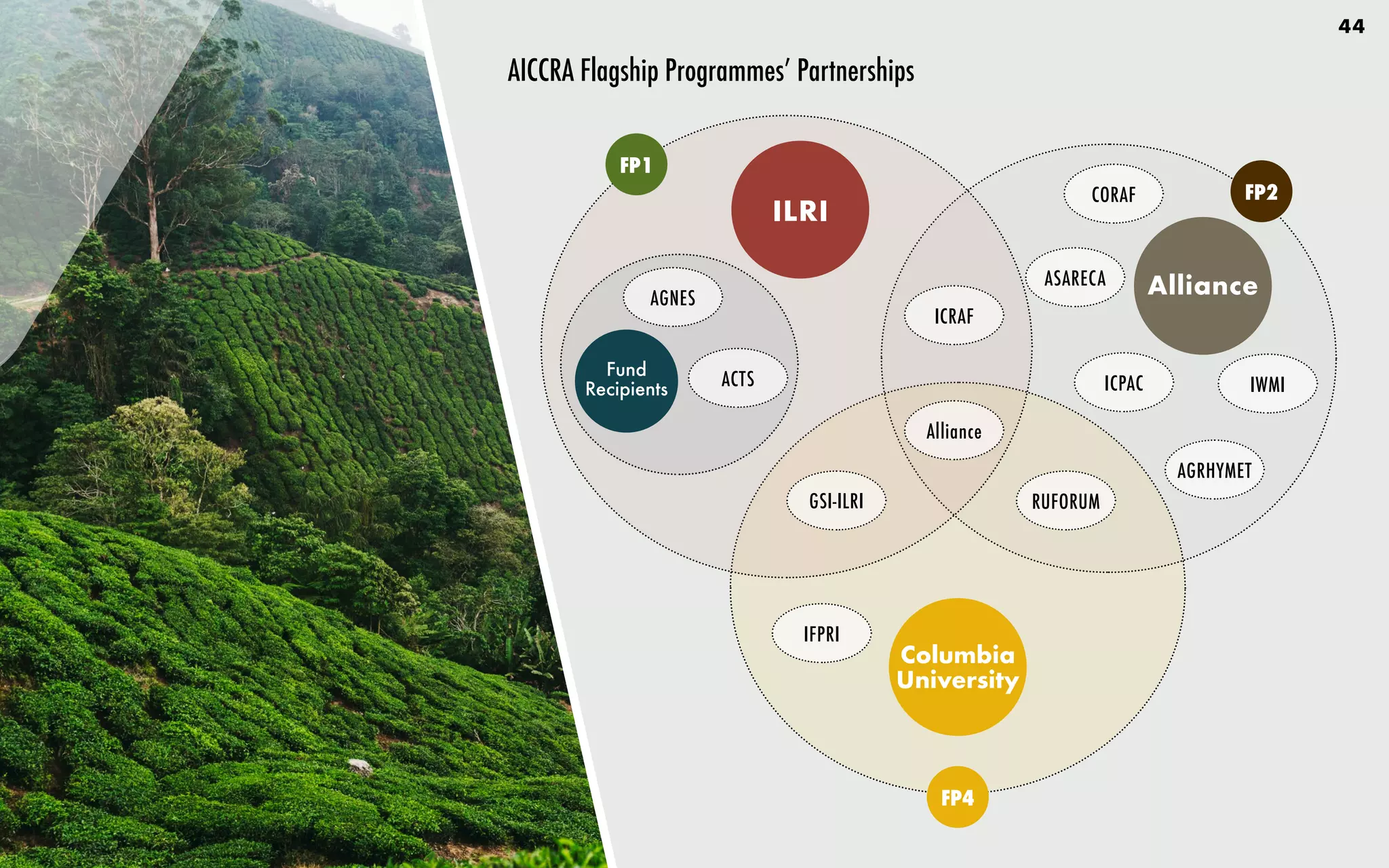44
AICCRA Flagship Programmes’ Partnerships
ILRI
Columbia
University
Alliance
CORAF
ASARECA
ICPAC
AGRHYMET
IWMI
GSI-ILRI
IFPRI
RUFORUM
FP1
FP2
FP4
Alliance
ICRAF
Fund
Recipients ACTS
AGNES
 