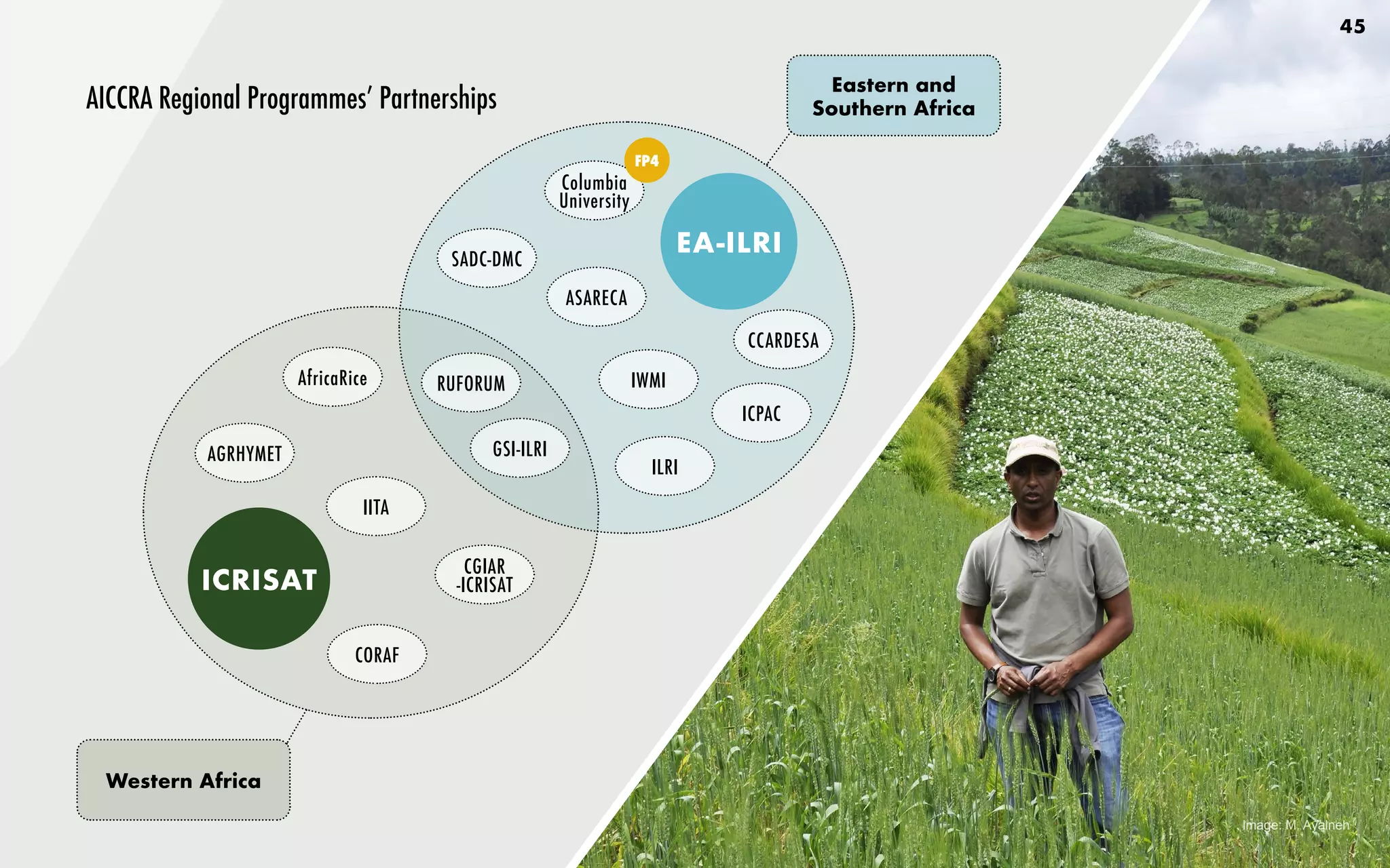 45
AICCRA Regional Programmes’ Partnerships
Eastern and
Southern Africa
Western Africa
Image: M. Ayalneh
ICRISAT
EA-ILRI
ILRI
CCARDESA
SADC-DMC
AGRHYMET
IWMI
CORAF
ASARECA
RUFORUM
ICPAC
GSI-ILRI
AfricaRice
Columbia
University
CGIAR
-ICRISAT
IITA
FP4
 