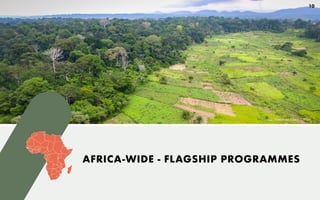 Image: Mokhamad Edliadi (CIFOR)
10
AFRICA-WIDE - FLAGSHIP PROGRAMMES
 