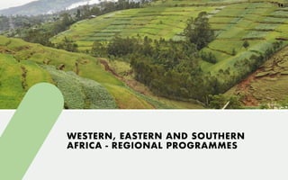 WESTERN, EASTERN AND SOUTHERN
AFRICA - REGIONAL PROGRAMMES
Image: M. Ayalneh
14
 