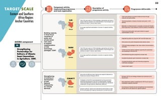 Component activity,
implementing programme
and lead organisation
Description of
programme activity
Programme deliverable
Strengthening
Partnerships for
Delivery of Climate-
Smart Innovations
in Agriculture. CONT.
Building capacity
in three focus
countries of
public and
private sector
next users
to support
implementation
of CSA
technology
packages. CONT.
Train CSA next users on CSA knowledge, approaches and tools to
support effective adoption and implementation of technologies and
practices at scale in various value chains.
Encourage significant participation of women in capacity building
events.
Train CSA next users on CSA knowledge, approaches and tools to
support effective adoption and implementation of technologies and
practices at scale in various value chains.
Encourage significant participation of women in capacity building
events.
Train local partners to provide climate services through
networks and partnerships
Technical guidance, inclusive of women and youth, in CIS
delivery
Materials on climate services in university curricula and Climate
Smart Agriculture Youth Network (CSAYN) centres of excellence
Public and private sector next users trained to support
implementation of CSA
CSA technology packages in key value chains communications
campaign
Climate services training materials supporting the awareness
and upscaling of CSA and CIS
Internship/learning grant programme concept note
Incubator/Accelerator grant mechanism concept note
Incubator/accelerator grant and internship programme
multimedia campaigns
Lessons learnt report
Integrated ag-data hub using the iSAT and DEA data cube
CSA women and youth entrepreneurship webinar series
Strengthening
of existing or
development
of new
National
Frameworks
for Climate
Services.
Work with the NMA and other national and regional institutions to
finalise and endorse Ethiopia’s NFCS.
Finalisation of the NFCS and endorsement by the government,
supporting development of the NFCS implementation strategy,
conducting stakeholder workshops and strengthening institutional
collaboration through effective stakeholder platforms.
Enhance national, regional and international partnerships to align
NFCSs with global and regional frameworks for climate services.
Ethiopia’s NFCS and strategy finalised and endorsed by the
Government
Multi-stakeholder platform established for NFCS and resource
mobilisation capacity enhanced
Governance of climate services strengthened and streamlined
through NFCS with lessons for regional spillover
TARGET SCALE
AICCRA component
PD
Eastern and Southern
Africa Region:
Anchor Countries
Ethiopia
CIMMYT
ILRI
Kenya
IWMI
Zambia
33
 
