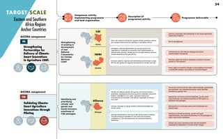 Component activity,
implementing programme
and lead organisation
Description of
programme activity
Programme deliverable
Strengthening
Partnerships for
Delivery of Climate-
Smart Innovations
in Agriculture CONT.
Strengthening
of existing or
development
of new
National
Frameworks
for Climate
Services.
CONT.
Work with national institutions, regional climate prediction centres
and climate outlook forums to develop or strengthen NFCS.
Strengthen national stakeholders and private sector firms’
capacities for sustained co-production and implementation of
national early warning, climate service and agro-advisory delivery
models streamlined through NFCSs.
Enhance national, regional and international partnerships to align
NFCSs with global and regional frameworks for climate services.
Improve coordination and partnership in the Kenya Agricultural
Observatory Platform
NFCS strengthened
Contributions to CSA national strategy documents,
implementation frameworks
Business cases and finance modalities to enhance inclusive
access to CSA solutions
Policy paper on systemic changes in the enabling environment
to accelerate adoption and scaling of CSA technologies
TARGET SCALE
AICCRA component
PD
Validating Climate-
Smart Agriculture
Innovations through
Piloting
AICCRA component
CSA
Identifying and
prioritising
climate- and
gender and
social inclusion-
smartness of
CSA packages.
Develop indicators to gauge whether practices/packages are
climate smart.
Develop mechanisms to de-risk private sector actors in piloting
innovative finance modalities for end users and business
modalities for CSA innovations/service production/delivery/
distribution.
Identify and assess climate- and gender and social inclusion-
smartness, biophysical and socio-economic feasibility, innovative
finance modalities for end users, business models and
inclusiveness of innovative CSA options, especially for women
and youth.
End to end common priority value chains analysed, greenhouse
gas estimated, and hotspots/intervention areas identified
considering a gender lens
Biophysical- and socio-economic feasibility, gender-youth
responsiveness, and climate-smartness of CSA option co-
assessed and packaged
Mechanisms to incentivise scaling actors developed and
disseminated
Indicators of climate smartness, gender and youth
responsiveness, and social-inclusiveness of CSA packages for
major value-chains developed
Gender and youth responsive small remnant breeders’
cooperatives established in Climate Smart Villages
Eastern and Southern
Africa Region:
Anchor Countries
Ethiopia
Alliance
ILRI
Kenya
IWMI
Zambia
34
 