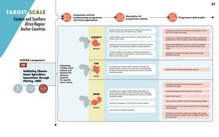 Component activity,
implementing programme
and lead organisation
Description of
programme activity
Programme deliverable
Integrating
climate-smart
options and
tailored CSI
advisory
systems
for specific
value chains.
Identify scalable climate-smart options in cereal, legume, and
livestock value chains
Identify agro-advisory needs for scaling of climate-smart options,
and integration of climate-smart options with agro-advisories.
Develop a system of using tailored climate agro-advisories to
support the adoption of CSA options in maize, wheat, bean, and
small ruminant value chains.
Integrate climate agro-advisories with climate-smart options to
enhance scaling across climate and user profiles.
Promote the integration of CSA with CIS advisory systems.
Ensure water is managed sustainably.
Formulate and/or identify suitable climate smart options for
cereals, legumes, livestock, fish value chains to be integrated
into tailored climate-informed agro-advisory systems for distinct
smallholder profiles.
Socially inclusive climate agro-advisory services
Incubator/accelerator grant and internship programme
multimedia campaigns
Incubator/Accelerator grant mechanism concept note
Lessons learnt report
Risk and return profiles of various CSA technology packages
Integrated ag-data hub in Zambia using the iSAT and DEA data
cube developed
Strengthening of national drought risk strategy (and develop
district level drought contingency plan to mitigate drought risks
as a case study)
TARGET SCALE
Validating Climate-
Smart Agriculture
Innovations through
Piloting. CONT.
AICCRA component
CSA
Formulate and/or identify suitable climate-smart options for
cereals, legumes, livestock, fish value chains to be integrated
into tailored climate-informed agro-advisory systems for distinct
smallholder profiles.
Eastern and Southern
Africa Region:
Anchor Countries Framework developed for evaluation and integration of CSA
and CIS in priority value chains
Co-production of tailored climate agro-advisory systems and
identification of CSAs for specific value chains strengthened
Mechanisms established for inclusive scaling of integrated
climate smart option and climate services in priority value
chains
Integration of climate smart options and tailored climate
advisories enhanced
Ethiopia
CIMMYT
ILRI
Kenya
IWMI
Zambia
37
 
