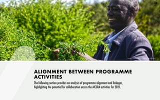 ALIGNMENT BETWEEN PROGRAMME
ACTIVITIES
The following section provides an analysis of programme alignment and linkages,
highlighting the potential for collaboration across the AICCRA activities for 2021.
Image: Sherry Odeyo (World Agroforestry)
38
 