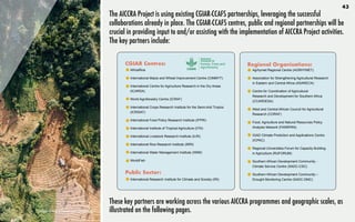 The AICCRA Project is using existing CGIAR-CCAFS partnerships, leveraging the successful
collaborations already in place. The CGIAR-CCAFS centres, public and regional partnerships will be
crucial in providing input to and/or assisting with the implementation of AICCRA Project activities.
The key partners include:
CGIAR Centres:
•	 AfricaRice	
•	 International Maize and Wheat Improvement Centre (CIMMYT)
•	 International Centre for Agriculture Research in the Dry Areas
(ICARDA)
•	 World Agroforestry Centre (ICRAF)
•	 International Crops Research Institute for the Semi-Arid Tropics
(ICRISAT)
•	 International Food Policy Research Institute (IFPRI)
•	 International Institute of Tropical Agriculture (IITA)
•	 International Livestock Research Institute (ILRI)
•	 International Rice Research Institute (IRRI)
•	 International Water Management Institute (IWMI)
•	 WorldFish
Public Sector:
•	 International Research Institute for Climate and Society (IRI)
Regional Organisations:
•	 Agrhymet Regional Centre (AGRHYMET)
•	 Association for Strengthening Agricultural Research
in Eastern and Central Africa (ASARECA)
•	 Centre for Coordination of Agricultural
Research and Development for Southern Africa
(CCARDESA)
•	 West and Central African Council for Agricultural
Research (CORAF)	
•	 Food, Agriculture and Natural Resources Policy
Analysis Network (FANRPAN)	
•	 IGAD Climate Prediction and Applications Centre
(ICPAC)	
•	 Regional Universities Forum for Capacity Building
in Agriculture (RUFORUM)
•	 Southern African Development Community -
Climate Service Centre (SADC-CSC)
•	 Southern African Development Community –
Drought Monitoring Centre (SADC-DMC)
These key partners are working across the various AICCRA programmes and geographic scales, as
illustrated on the following pages.
Image: Etienne Boulanger (Unsplash)
43
 