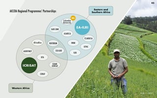 45
AICCRA Regional Programmes’ Partnerships
Eastern and
Southern Africa
Western Africa
Image: M. Ayalneh
ICRISAT
EA-ILRI
ILRI
CCARDESA
SADC-DMC
AGRHYMET
IWMI
CORAF
ASARECA
RUFORUM
ICPAC
GSI-ILRI
AfricaRice
Columbia
University
CGIAR
-ICRISAT
IITA
FP4
 