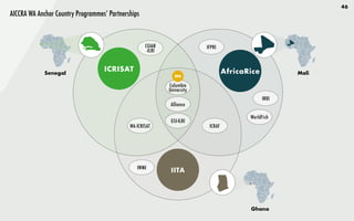 46
AICCRA WA Anchor Country Programmes’ Partnerships
Senegal Mali
Ghana
Alliance
ICRISAT
IITA
AfricaRice
WorldFish
IRRI
CGIAR
-ILRI
WA-ICRISAT
IWMI
Columbia
University
GSI-ILRI
IFPRI
ICRAF
FP4
 