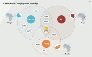 47
Alliance
GSI-ILRI
ILRI
AICCRA EA-SA Anchor Country Programmes’ Partnerships
CIMMYT
ICARDA
Zambia
Ethiopia
EA-ILRI
IWMI
Kenya
IITA
ICRISAT
ICPAC
Columbia
University
FP4
WorldFish
 