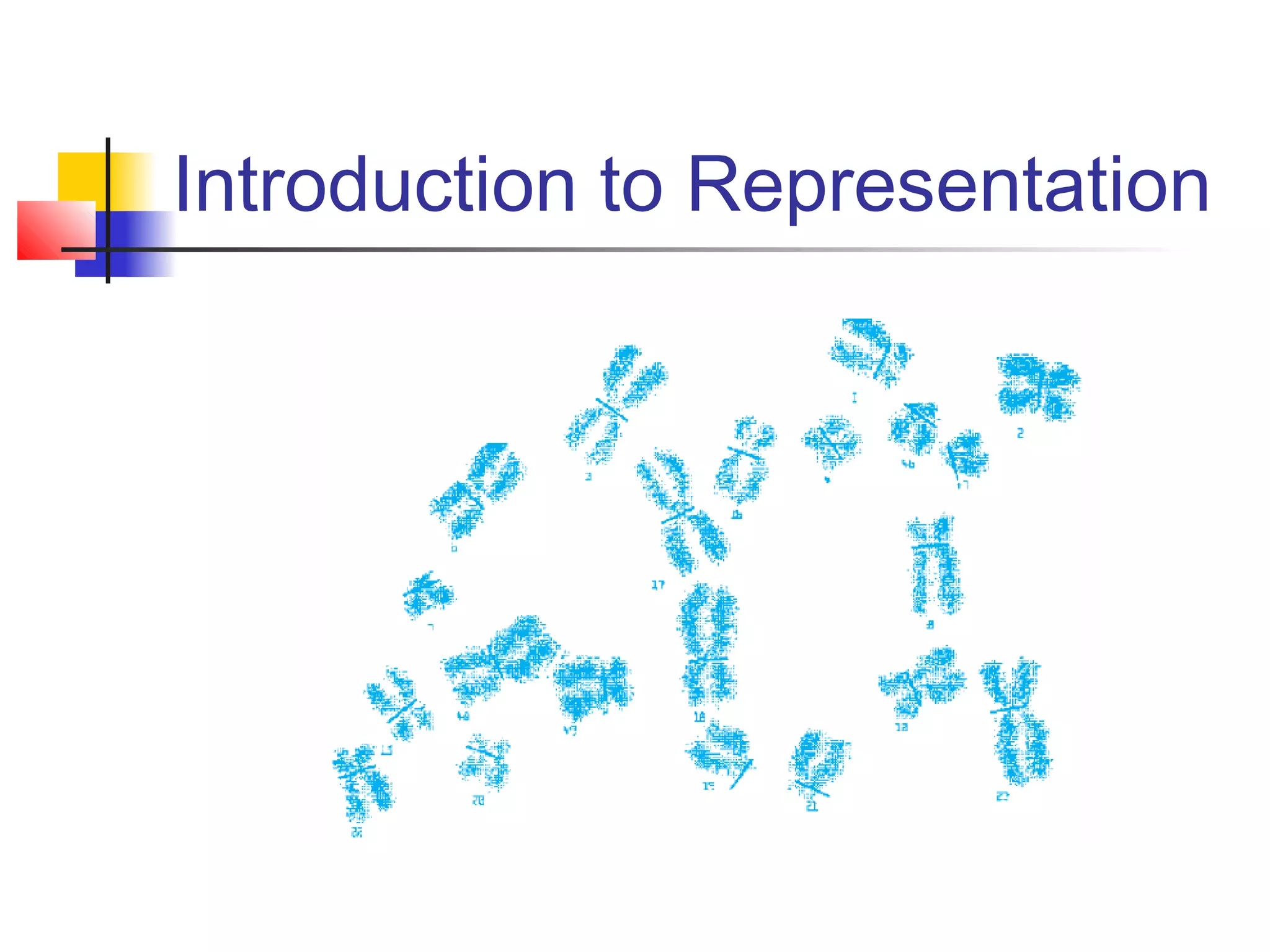 Introduction to Representation

 