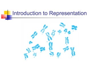Introduction to Representation

 