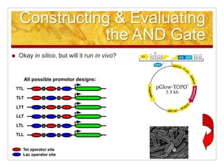 Aiche 2008, Philadelphia