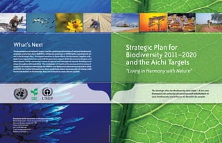 Strategic Plan for 
Biodiversity 2011–2020 
and the Aichi Targets 
“Living in Harmony with Nature” 
What’s Next 
The development of national targets, and the updating and revision of national biodiversity 
strategies and action plans (NBSAPs), will be key processes in fulfilling the commitments set 
out in the Strategic Plan. To support countries in these efforts, the Secretariat, together with 
global and regional partners and with the generous support of the Government of Japan and 
other donors, will be convening a series of regional and subregional capacity-building work-shops 
throughout 2011 and 2012. The workshops will build on the success of a first series of 
Capacity Development Workshops for NBSAPs and Biodiversity Mainstreaming held in 2008 
and 2009. For further information on these workshops please see www.cbd.int/nbsap. Addi-tional 
information on the Strategic Plan can be found on www.cbd.int/sp2020. 
The Strategic Plan for Biodiversity 2011-2020 – A ten-year 
framework for action by all countries and stakeholders to 
save biodiversity and enhance its benefits for people. 
Secretariat of the Convention on Biological Diversity 
World Trade Centre · 413 St. Jacques Street, Suite 800 
Montreal, Quebec, Canada H2Y 1N9 
Phone: 1(514) 288 2220 · 
Fax: 1 (514) 288 6588 
E-mail: secretariat@cbd.int 
Website: www.cbd.int 
IMAGES FROM thinkstockPHOTOS.COM 
 