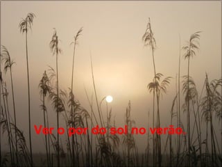 Ver o por do sol no verão. 
 