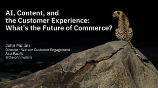 AI, Content, and
the Customer Experience:
What’s the Future of Commerce?
John Mullins
Director - Watson Customer Engagement
Asia Pacific
@thejohnmullins
 