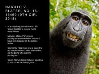 N A R U T O V .
S L A T E R , N O . 1 6 -
1 5 4 6 9 ( 9 T H C I R .
2 0 1 8 )
• In a surprising turn of events, 9th
Circuit decides to issue a ruling
nevertheless.
• Naruto v Slater. PETA sues
photographer on behalf of Naruto to
have him declared as the selfie’s
author.
• Claimants: “Copyright law is clear: It’s
not the person who owns the camera,
it’s the being who took the
photograph.”
• Court: “Naruto lacks statutory standing
to sue under the Copyright Act.”
 