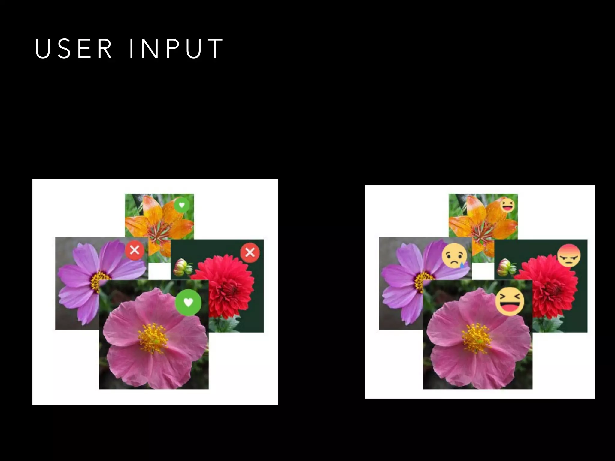 U S E R I N P U T
 