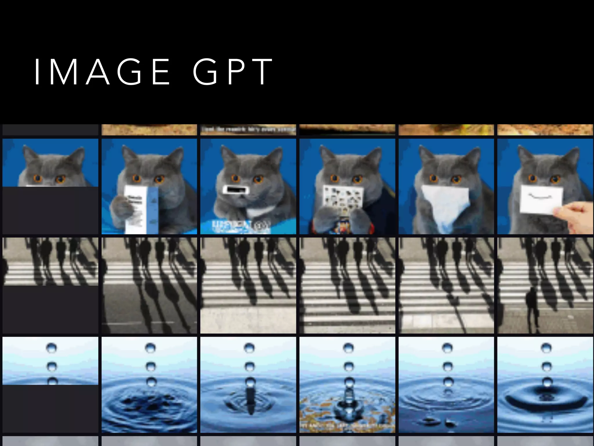 I M A G E G P T
 