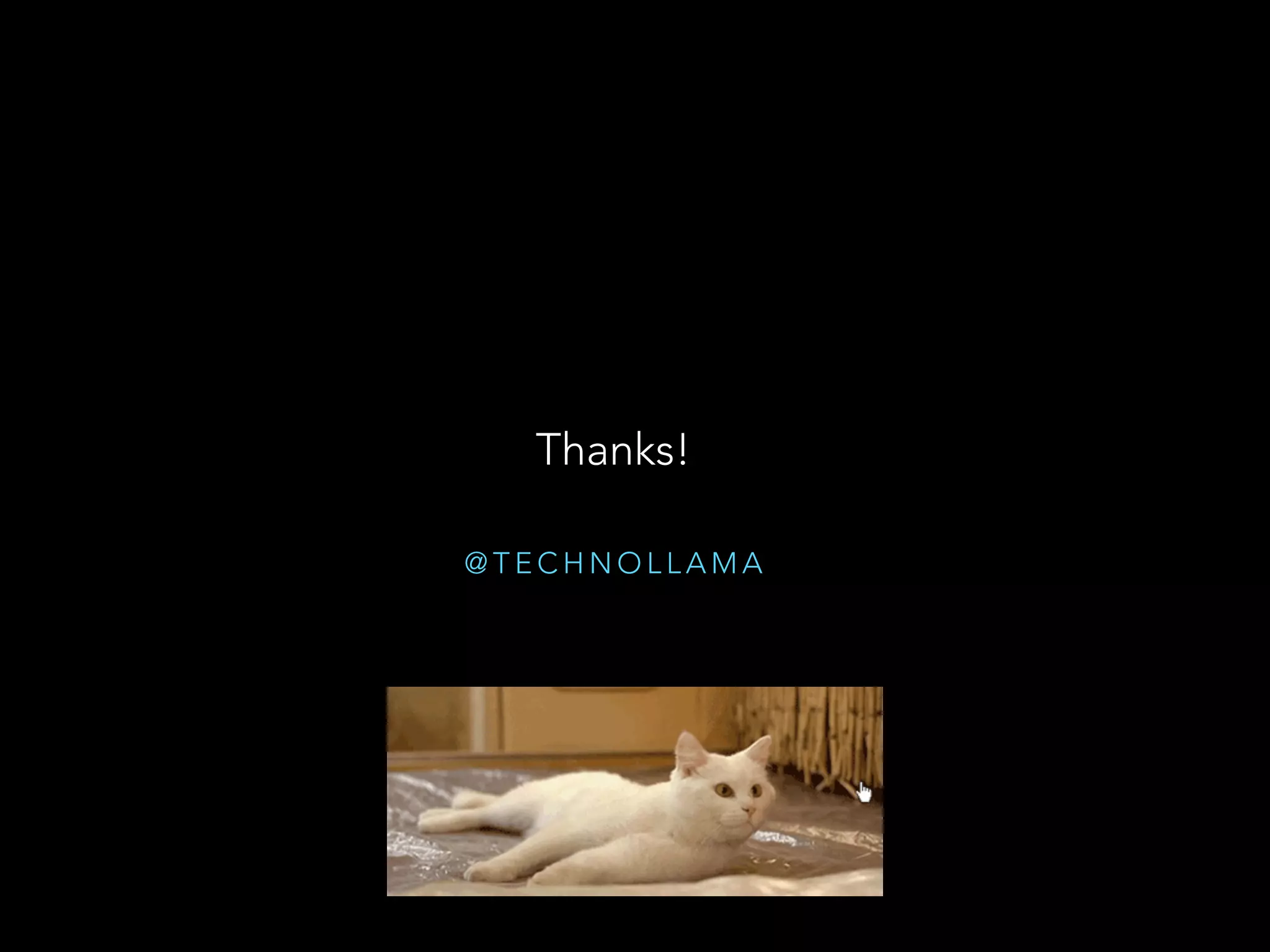 @ T E C H N O L L A M A
Thanks!
 