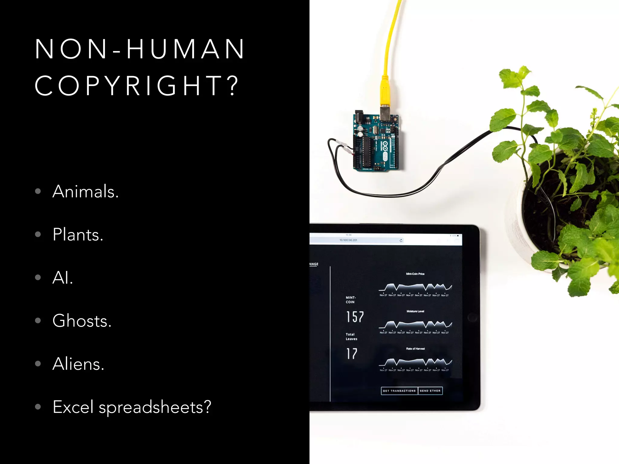 N O N - H U M A N
C O P Y R I G H T ?
• Animals.
• Plants.
• AI.
• Ghosts.
• Aliens.
• Excel spreadsheets?
 