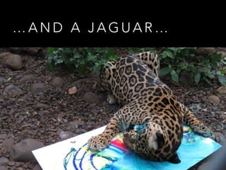 … A N D A J A G U A R …
 