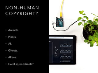 N O N - H U M A N
C O P Y R I G H T ?
• Animals.
• Plants.
• AI.
• Ghosts.
• Aliens.
• Excel spreadsheets?
 