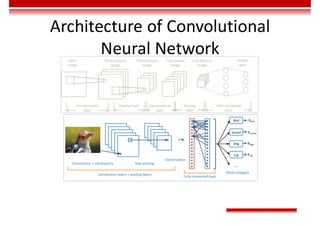 Architecture of Convolutional
Neural Network
Input
image
Convolutional
layer
Convolutional
layer
Pooling layer Pooling
layer
Fully connected
layer
Three-feature
image
Three-feature
image
Five-feature
image
Five-feature
image
Output
layer
Convolution + nonlinearity Max pooling
Convolution layers + pooling layers Fully connected layer
Multi-category
Vectorization
Bird
Sunset
Dog
Cat
Pbird
Psunset
Pdog
Pcat
 