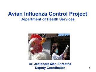 Avian Influenza Control Project Department of Health Services Dr. Jeetendra Man Shrestha Deputy Coordinator 