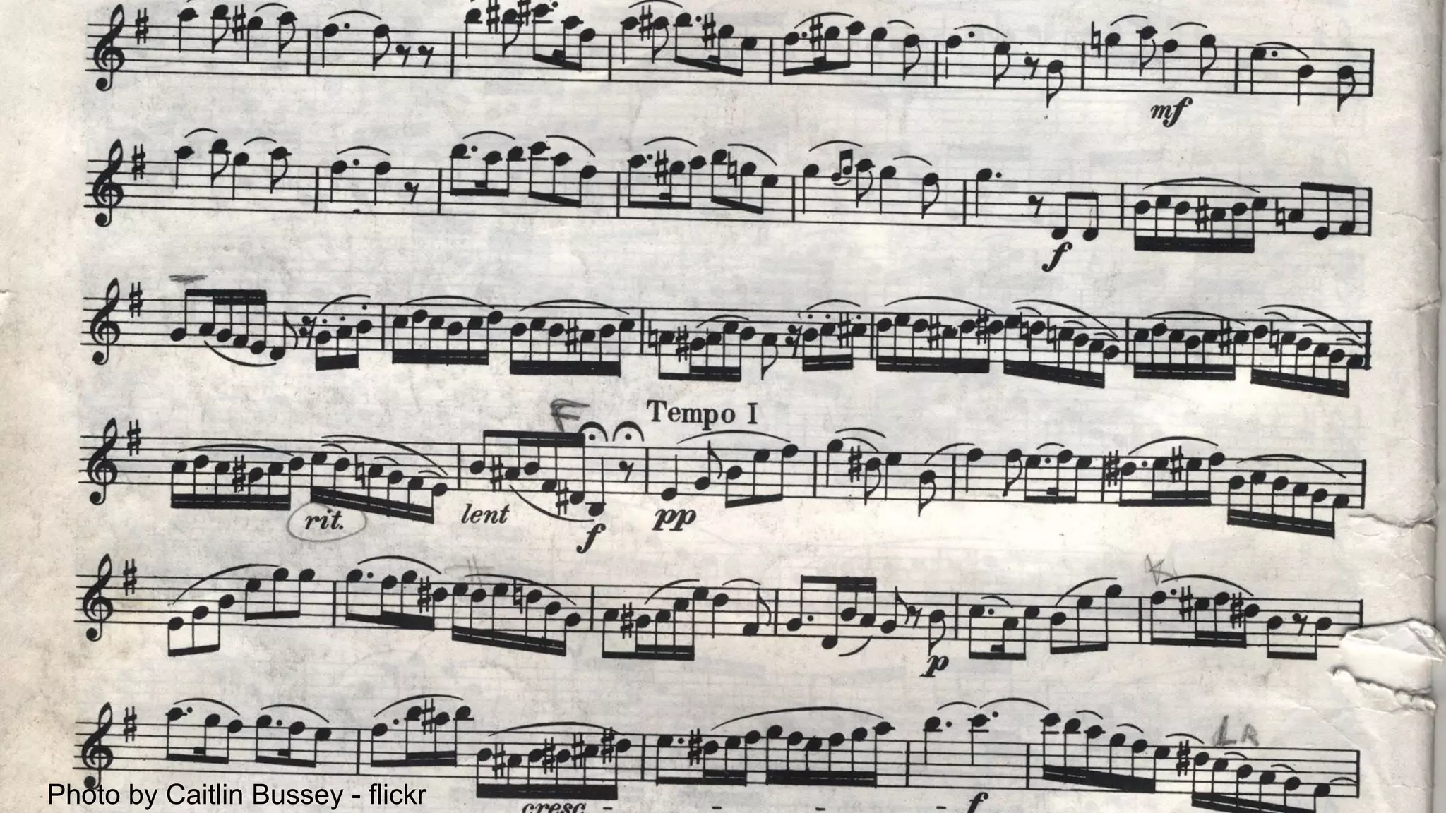 Photo by Caitlin Bussey - flickr
 