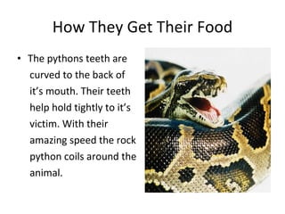 Aidan animal research | PPT